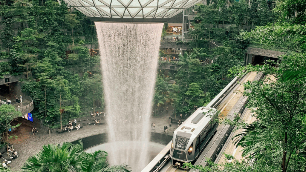 Singapore Airport waterfall fro mceiling in a lush tropical environment is what you will see when you land and begin your Singapore Culinary Travel experience planned by Inspired Culinary Travel.